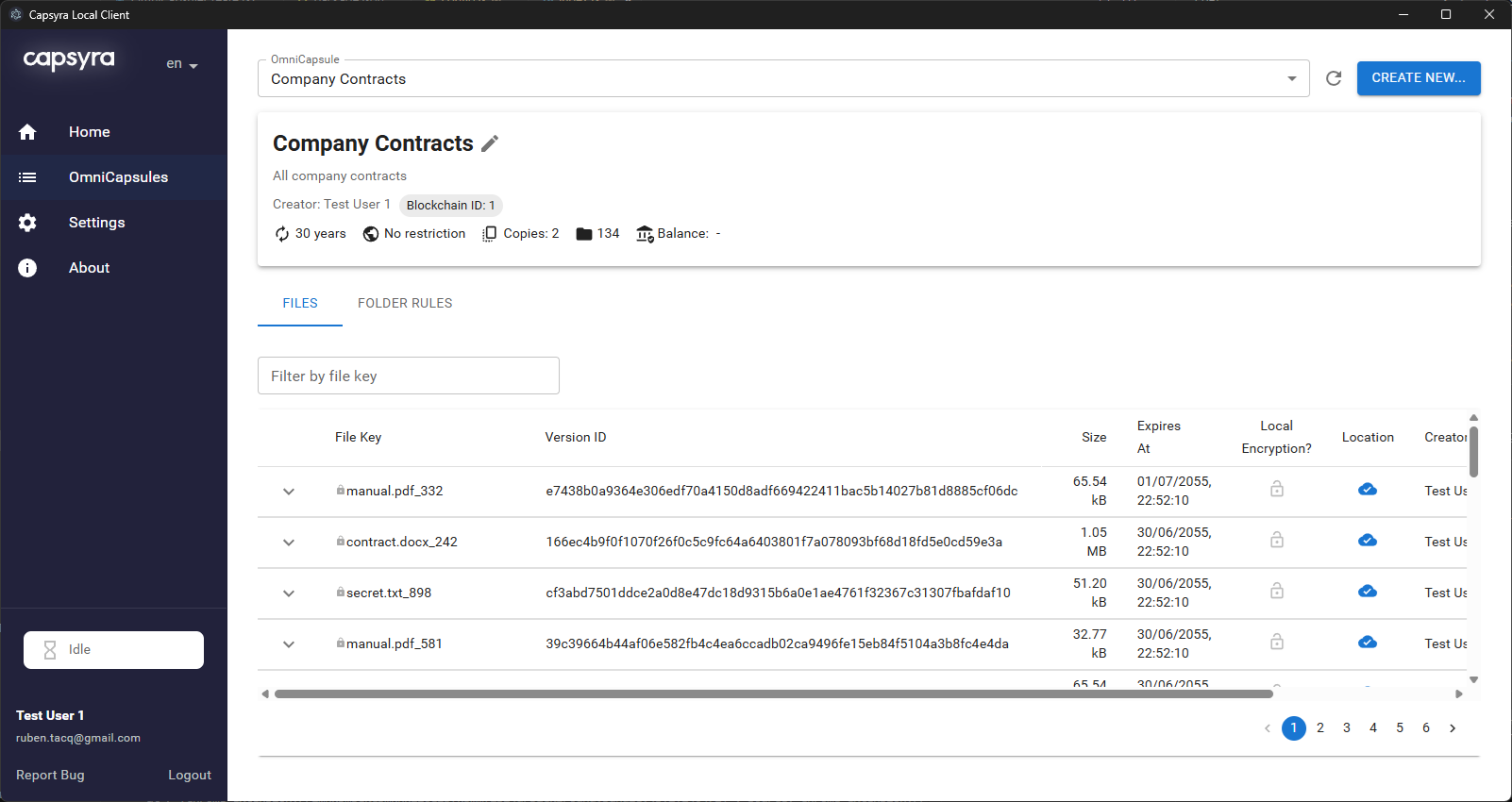 Capsyra App Screenshot 2